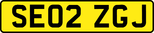 SE02ZGJ