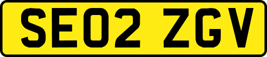 SE02ZGV