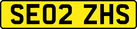 SE02ZHS