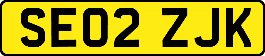 SE02ZJK