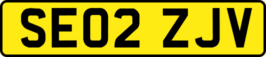 SE02ZJV