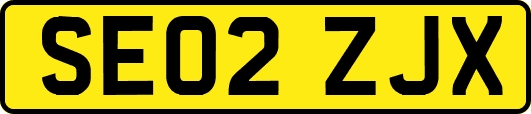 SE02ZJX