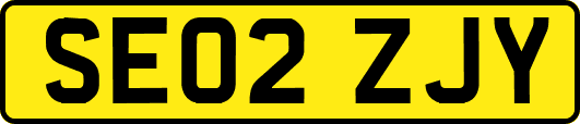 SE02ZJY
