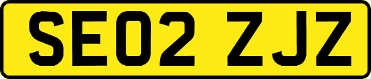 SE02ZJZ