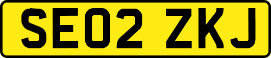 SE02ZKJ