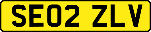 SE02ZLV