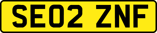 SE02ZNF