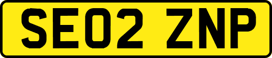 SE02ZNP