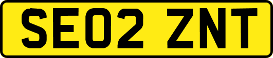 SE02ZNT