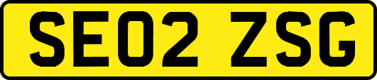 SE02ZSG