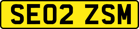 SE02ZSM