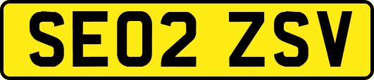SE02ZSV