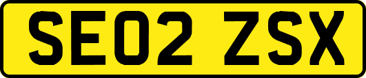 SE02ZSX