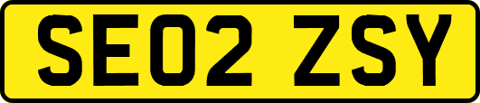 SE02ZSY