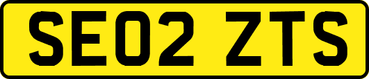 SE02ZTS