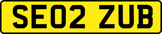 SE02ZUB