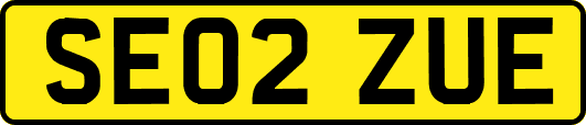 SE02ZUE