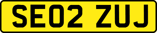 SE02ZUJ