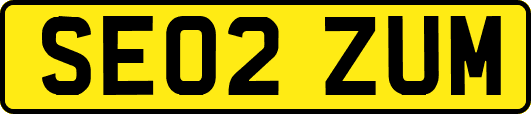 SE02ZUM