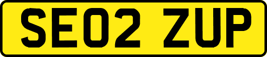 SE02ZUP