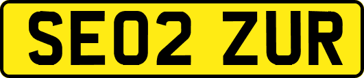 SE02ZUR