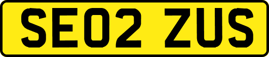 SE02ZUS
