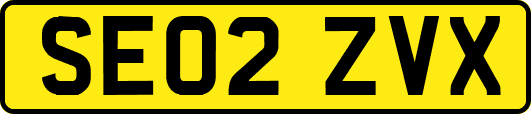 SE02ZVX
