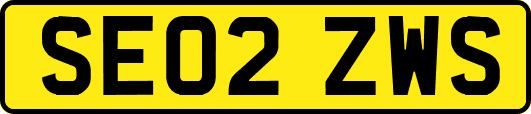 SE02ZWS