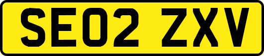 SE02ZXV
