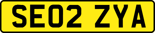 SE02ZYA