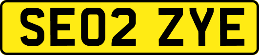 SE02ZYE