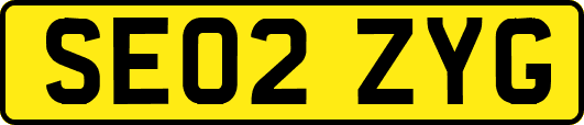 SE02ZYG