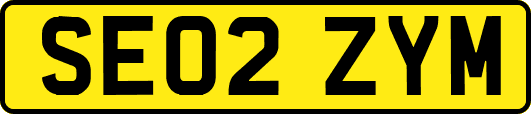 SE02ZYM