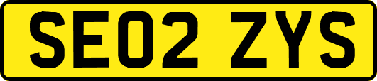SE02ZYS