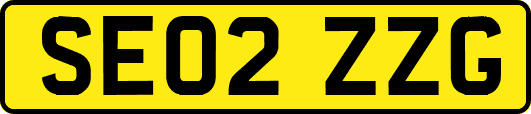 SE02ZZG