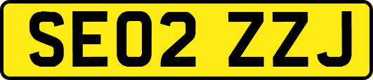 SE02ZZJ