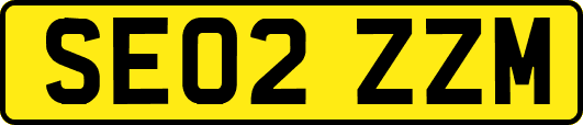 SE02ZZM