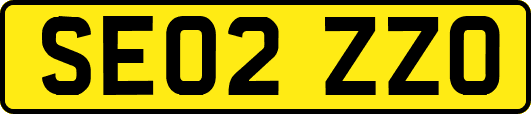 SE02ZZO