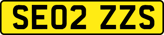 SE02ZZS