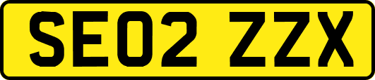 SE02ZZX