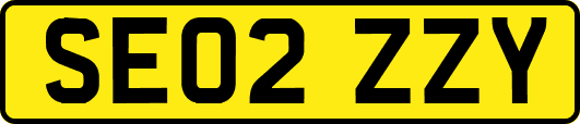 SE02ZZY