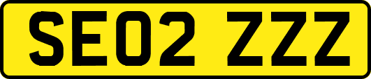 SE02ZZZ