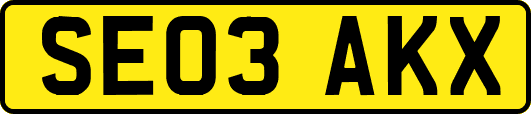 SE03AKX