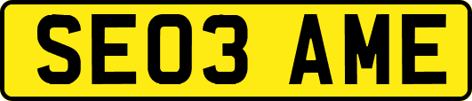 SE03AME