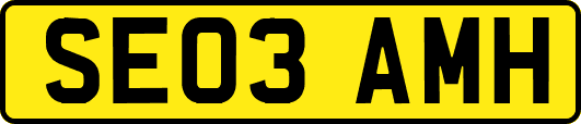 SE03AMH