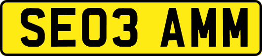 SE03AMM