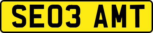 SE03AMT