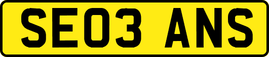 SE03ANS