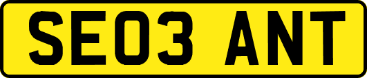 SE03ANT