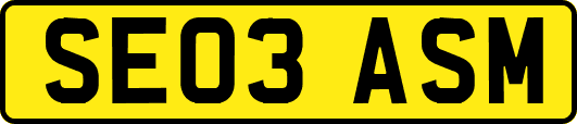 SE03ASM